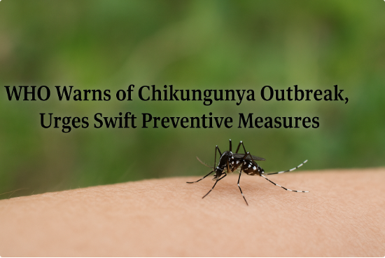 WHO Warns of Chikungunya Outbreak, Urges Swift Preventive Measures